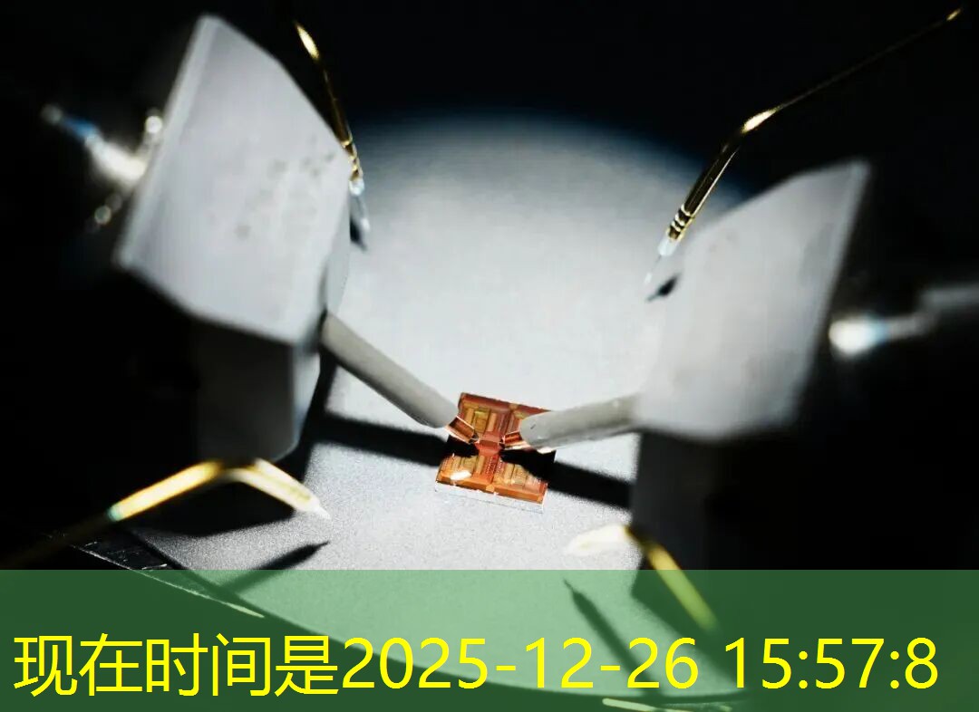 como chegar em praia do cassino